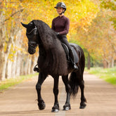 Harmonisches Reitoutfit in Schwarz: Eine Reiterin auf einem Friesen (Rappe) im kompletten LeMieux Essence Dressurset. Das Pferd trägt die schwarze Essence Dressurschabracke und die passende schwarze Essence Fliegenmütze (Fliegenhaube). Dieses dezente, elegante Set ist ideal für das Training oder Reitlehrgänge und besticht durch zeitlose Ästhetik.
