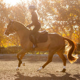 Reiterin galoppiert auf einem Fuchs mit der schwarzen LeMieux Essence Eurojump Schabracke über den sonnigen Reitplatz. Die glatte Softshell-Oberfläche ist ideal bestickbar und personalisierbar mit Pferdenamen oder Logos für Reitvereine, Reiterteams und Gestüte. Dank der anatomischen Form bleibt die Sattelunterlage auch in der Dynamik des Galopps rutschfest und formstabil – die perfekte Werbefläche für Unternehmen im Reitsport.