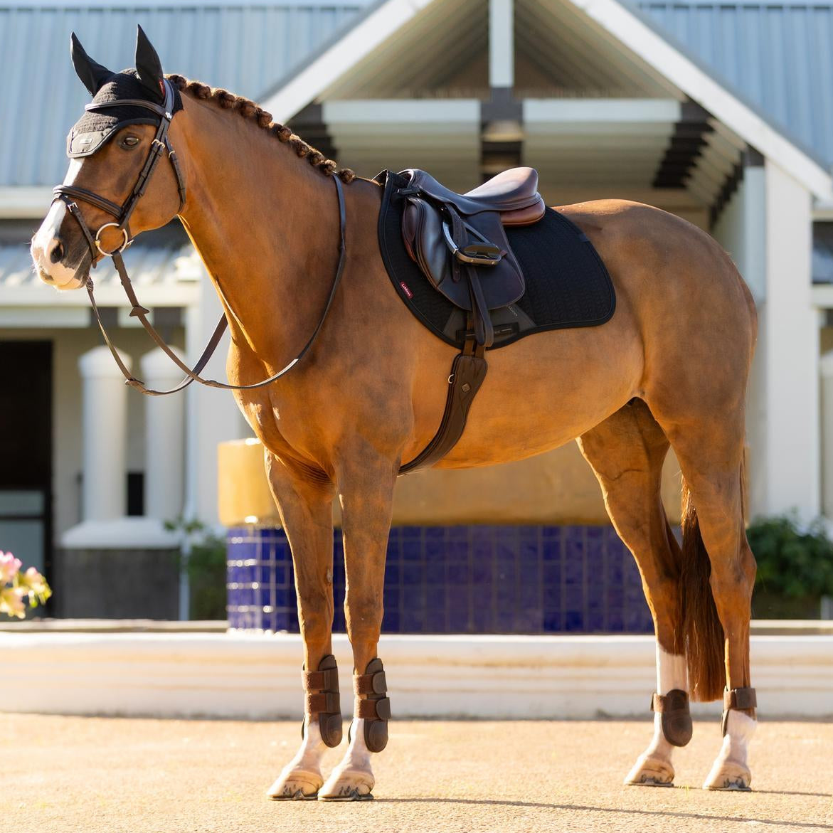 Schwarze LeMieux Essence Eurojump Square Springschabracke auf einem Fuchs vor dem Springtraining. Die Sattelunterlage zeigt die perfekte Schnittform für moderne Springsättel mit Vorwölbung am Sattelblatt, was maximale Schulterfreiheit im Sprung garantiert. Die anatomische Oberlinie mit Schwanenhals und das kühlende Self-Cool-Futter sorgen für eine stabile Sattellage und optimales Klimamanagement unter dem Springsattel.