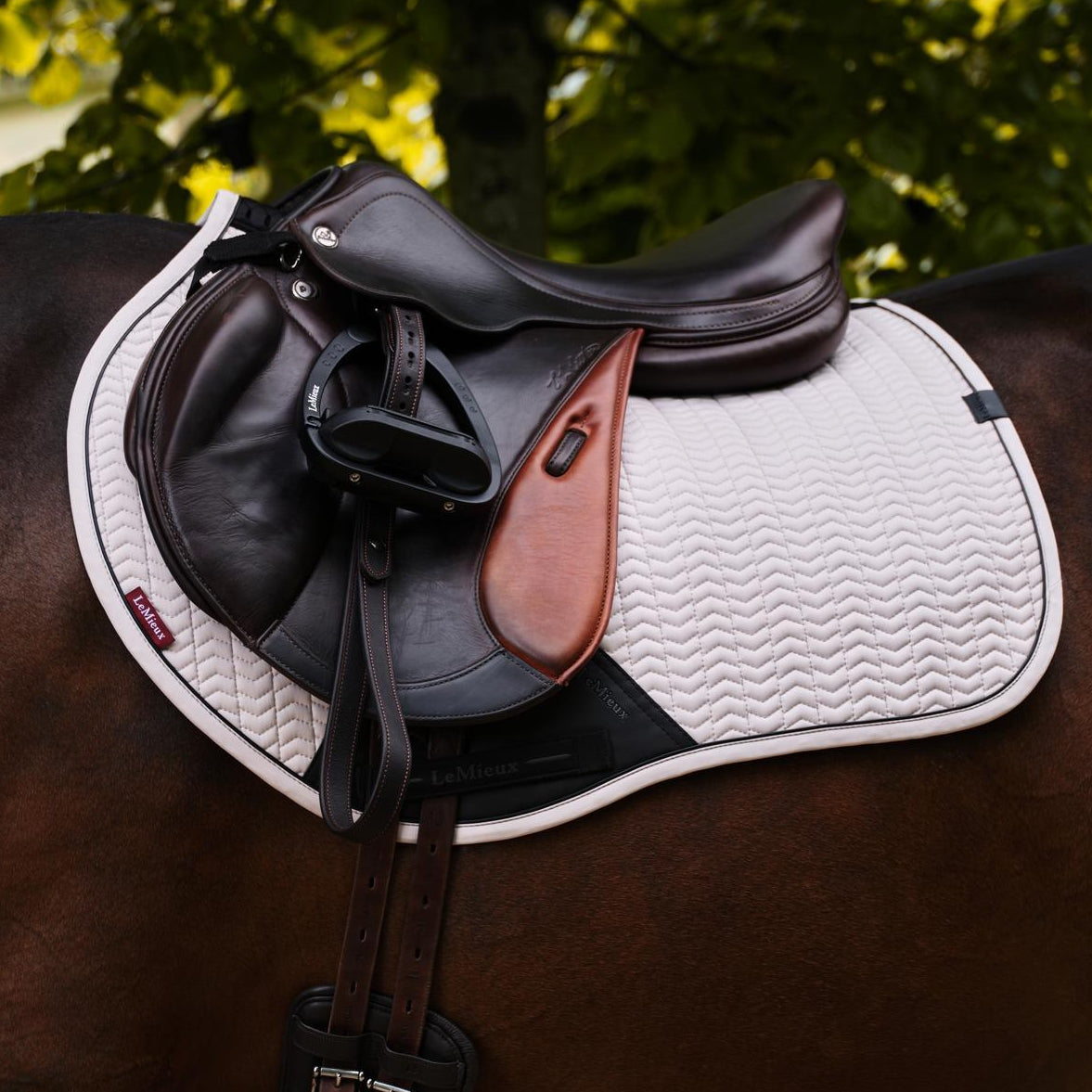 Elegante LeMieux Essence Eurojump Stone Schabracke unter einem Springsattel auf einem Sportpferd. Die Sattelunterlage zeigt eine perfekte anatomische Lage und ist im Bereich der Kammer hoch eingekammert, um maximalen Druckschutz am Widerrist zu garantieren. Die kontrastreiche schwarze Paspel rahmt die Schabracke sportlich ein. Dank des Eurojump-Schnitts bietet die Unterlage uneingeschränkte Schulterfreiheit in der Flugphase über dem Sprung und einen stabilen Sitz ohne Verrutschen. 