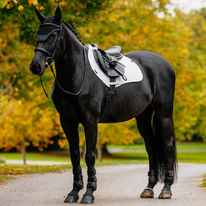 Das startbereite schwarze Springpferd (Rappe) im perfekt kombinierten LeMieux Turnieroutfit. Die strahlend weiße Essence Eurojump Schabracke bildet einen stimmigen Kontrast zur passenden schwarzen Essence Fliegenhaube. Das Set strahlt Präzision, Funktion und zeitloses Design aus, einsatzbereit für die nächste Prüfung auf dem Springturnier oder Vielseitigkeitsturnier.