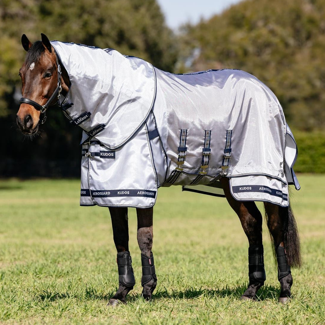 LeMieux Fliegendecke Kudos AeroGuard Silber | Mit Bauchlatz – ePony ...