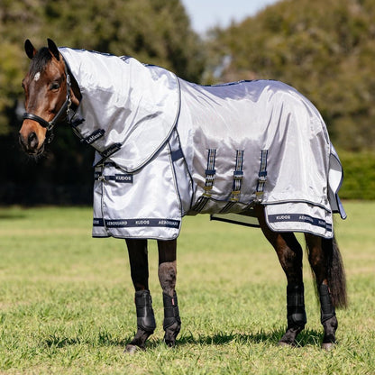 Ein Pferd steht mit der silbernen LeMieux Fliegendecke Kudos AeroGuard und dem kombinierten Halsteil direkt in der prallen Sonne. 
