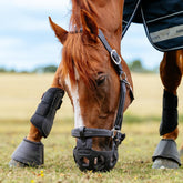 Ein Fuchs-Pferd steht während des Weidegangs im Gras und trägt den schwarzen LeMieux Weidemaulkorb Noma. Die Fressbremse ist hier sicher, passgenau und komfortabel an einem hochwertigen LeMieux Lederhalfter befestigt.