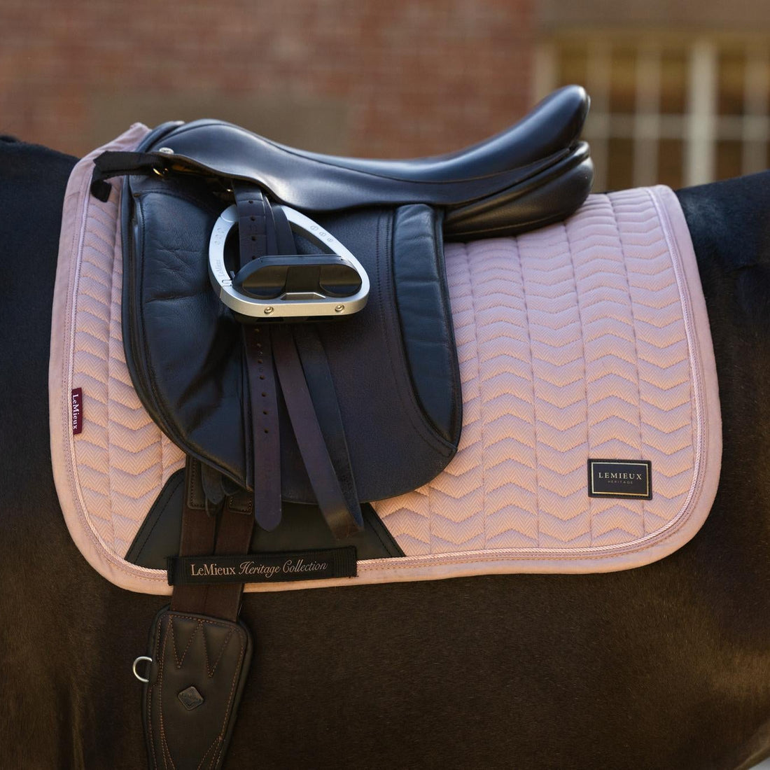 LeMieux Heritage Herringbone Dressurschabracke in Wild Rose (Altrosa) unter einem schwarzen Dressursattel auf dem Pferderücken. Die Detailaufnahme verdeutlicht die anatomische Passform mit hoher Widerristfreiheit, die Fixierung über die elastische D-Ring-Befestigung sowie das patentierte Gurtverriegelungssystem mit LeMieux-Ledergurtschutz gegen Verrutschen.