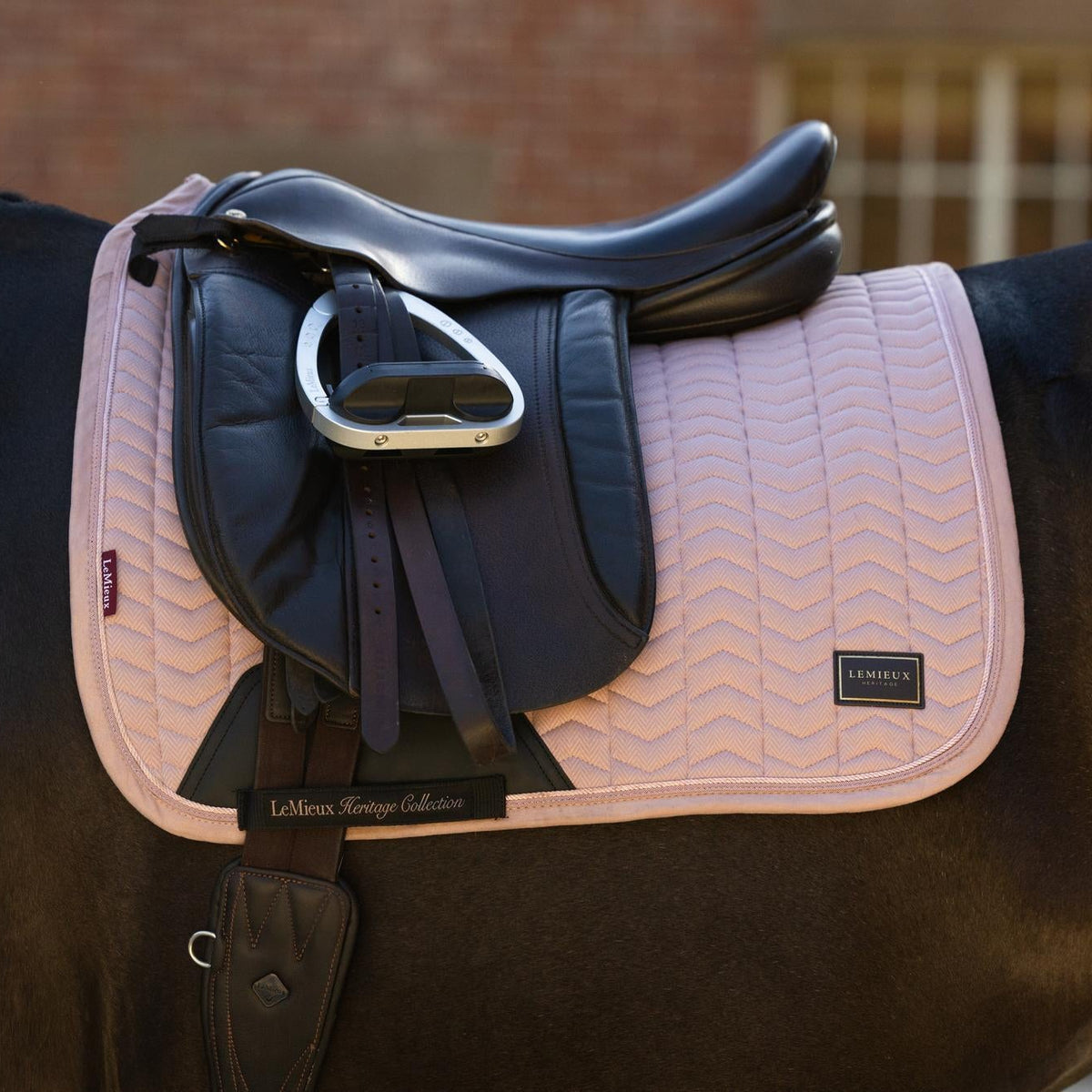 LeMieux Heritage Herringbone Dressurschabracke in Wild Rose (Altrosa) unter einem schwarzen Dressursattel auf dem Pferderücken. Die Detailaufnahme verdeutlicht die anatomische Passform mit hoher Widerristfreiheit, die Fixierung über die elastische D-Ring-Befestigung sowie das patentierte Gurtverriegelungssystem mit LeMieux-Ledergurtschutz gegen Verrutschen.