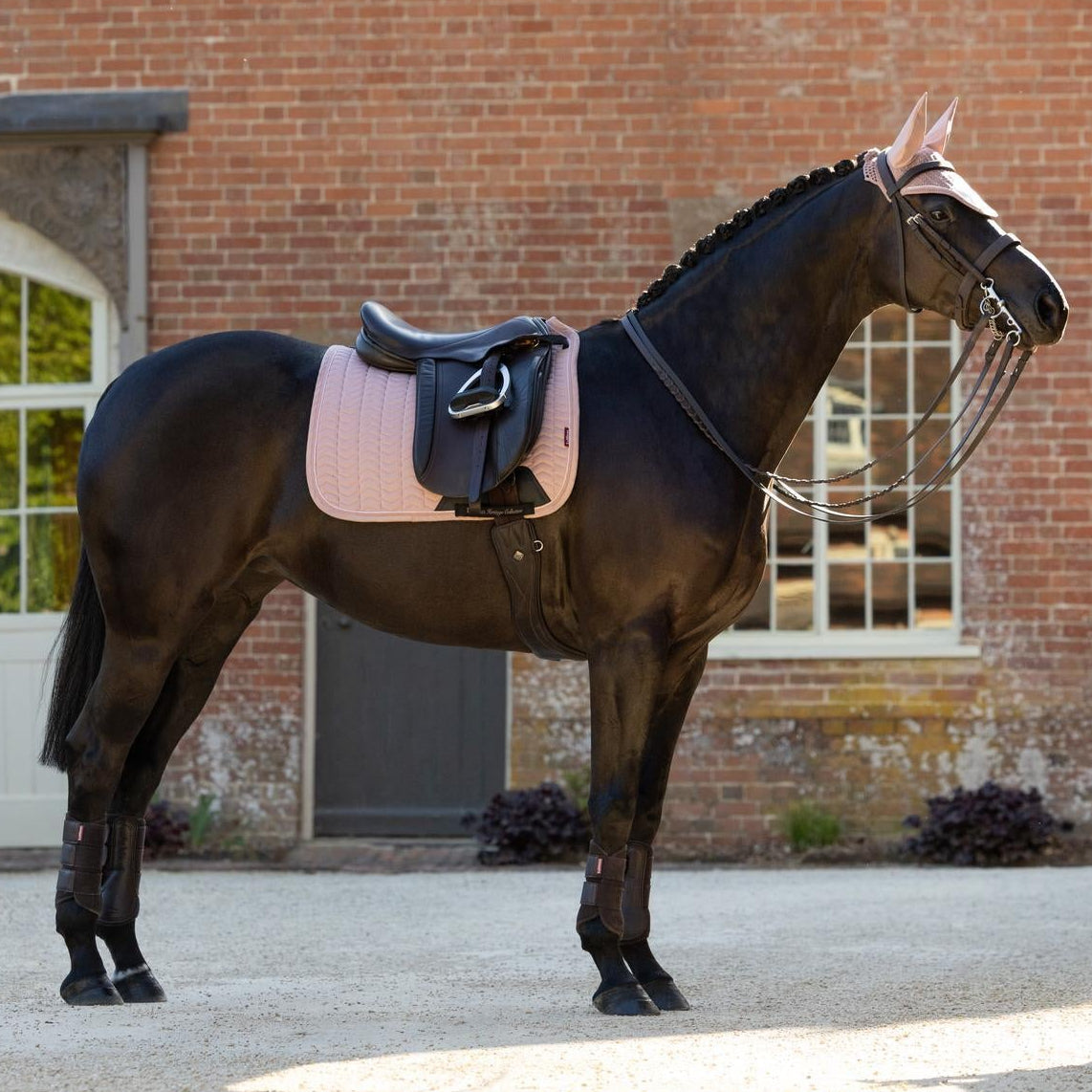Die LeMieux Heritage Dressurschabracke in Wild Rose (Altrosa) am Pferd, deren Schnittform optimal auf das lange Sattelblatt gängiger Dressursattelmodelle abgestimmt ist. Der dezente Rosaton harmoniert mit vielen Pferdefarben – von Dunkelbraunen und Rappen bis hin zu Schimmeln und Füchsen – und macht das Set zu einem modischen Highlight für anspruchsvolle Dressurreiter.