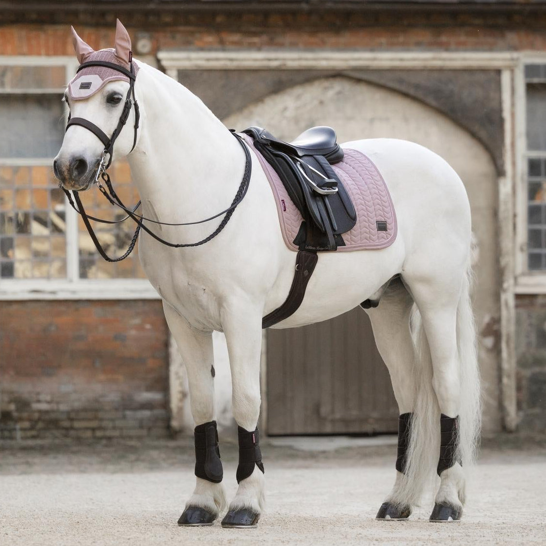 Die LeMieux Heritage Dressurschabracke Herringbone im zarten Farbton Wild Rose (Altrosa) präsentiert sich auf einem eleganten Schimmel. Das Foto veranschaulicht den edlen Kontrast der gesteppten Sattelunterlage auf weißem Fell unter dem Dressursattel sowie das harmonische Zusammenspiel mit der farblich abgestimmten LeMieux Heritage Fliegenmütze als stilvolles Dressur-Set.