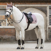 Die LeMieux Heritage Dressurschabracke Herringbone im zarten Farbton Wild Rose (Altrosa) präsentiert sich auf einem eleganten Schimmel. Das Foto veranschaulicht den edlen Kontrast der gesteppten Sattelunterlage auf weißem Fell unter dem Dressursattel sowie das harmonische Zusammenspiel mit der farblich abgestimmten LeMieux Heritage Fliegenmütze als stilvolles Dressur-Set.