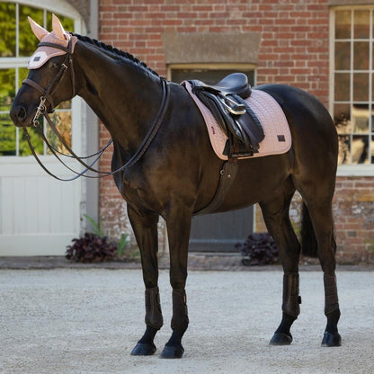 Vollständiges Dressur-Outfit der LeMieux Heritage Kollektion am Pferd im eleganten Farbton Wild Rose (Altrosa). Gezeigt wird die formstabile Heritage Herringbone Dressurschabracke mit Schwanenhals-Schnitt unter dem Dressursattel in harmonischer Kombination mit der farblich abgestimmten LeMieux Heritage Fliegenmütze auf einem dunkelbraunen Dressurpferd.