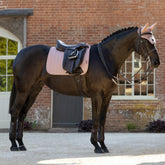 Ganzkörperansicht eines dunkelbraunen Dressurpferdes mit dem eleganten LeMieux Heritage Set in Wild Rose (Altrosa). Das Bild zeigt die Heritage Herringbone Dressurschabracke mit anatomischem Schwanenhals und Fischgrät-Steppung unter dem Dressursattel sowie die farblich perfekt abgestimmte LeMieux Heritage Fliegenmütze im Gesamt-Look.