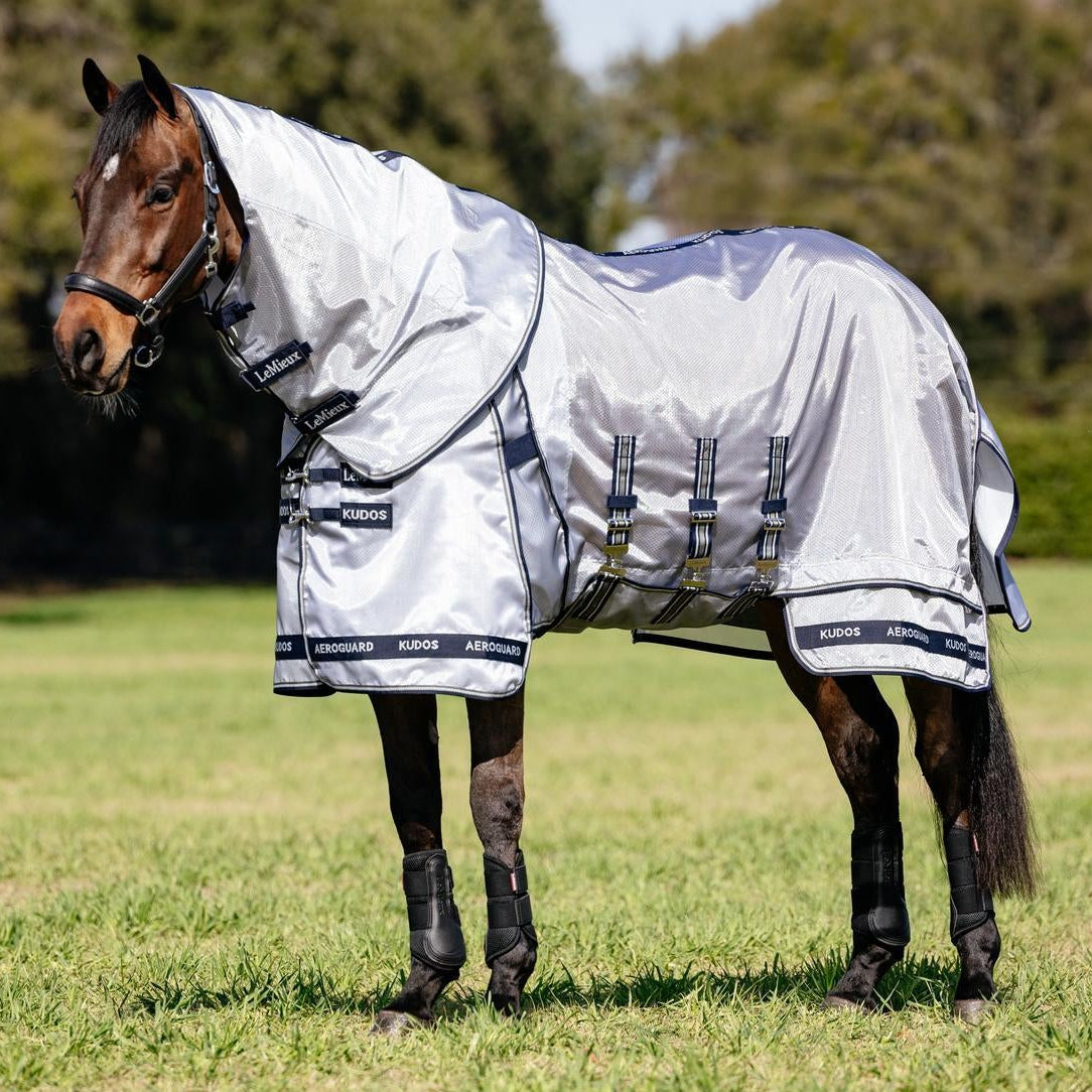 Ein Pferd auf der Weide mit der komplett ausgestatteten LeMieux Insektenschutzdecke Kudos AeroGuard in Silber mit markanten dunkelblauen Einfassungen und Schriftzug. Der besonders lange, umhüllende Schnitt, der breite Bauchlatz mit drei geraden Gurten und der extra lange Schweiflatz bieten dem Pferd maximalen mechanischen Fliegenschutz und höchsten Komfort.
