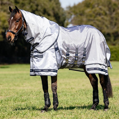 Ein Pferd auf der Weide mit der komplett ausgestatteten LeMieux Insektenschutzdecke Kudos AeroGuard in Silber mit markanten dunkelblauen Einfassungen und Schriftzug. Der besonders lange, umhüllende Schnitt, der breite Bauchlatz mit drei geraden Gurten und der extra lange Schweiflatz bieten dem Pferd maximalen mechanischen Fliegenschutz und höchsten Komfort.