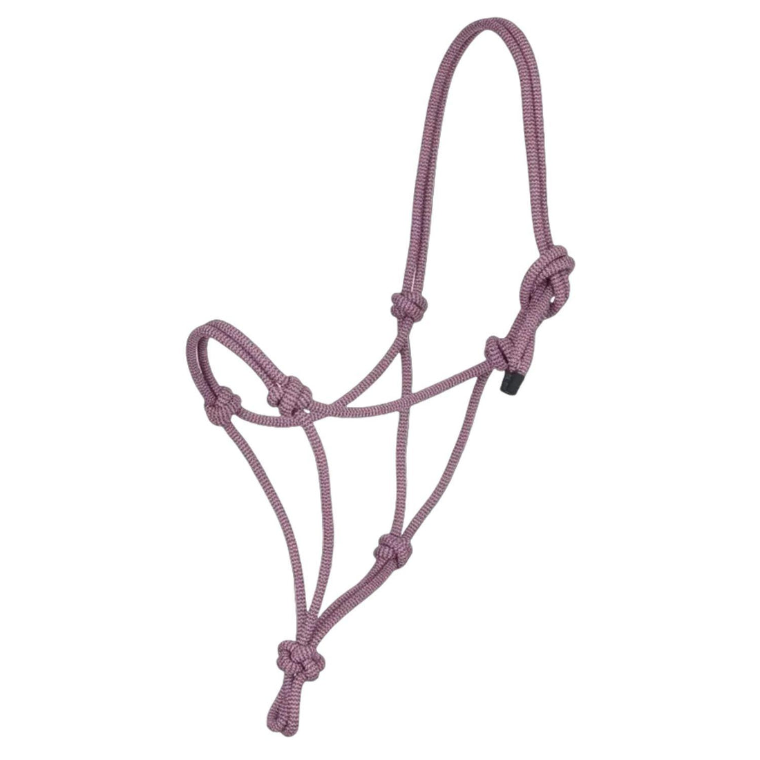 Das LeMieux Knotenhalfter in der Farbe Fondant als freigestelltes Produktbild auf weißem Hintergrund. Das anatomische Seilhalfter für die Horsemanship-Bodenarbeit zeigt ein festes Strickmuster aus warmem Rosa, durchsetzt mit einem feinen Lilaton. Alle traditionellen Profi-Knoten wie der Fiador-Knoten und der Diamantknoten sind deutlich zu erkennen, passend zum farblich abgestimmten LeMieux Pferdezubehör.