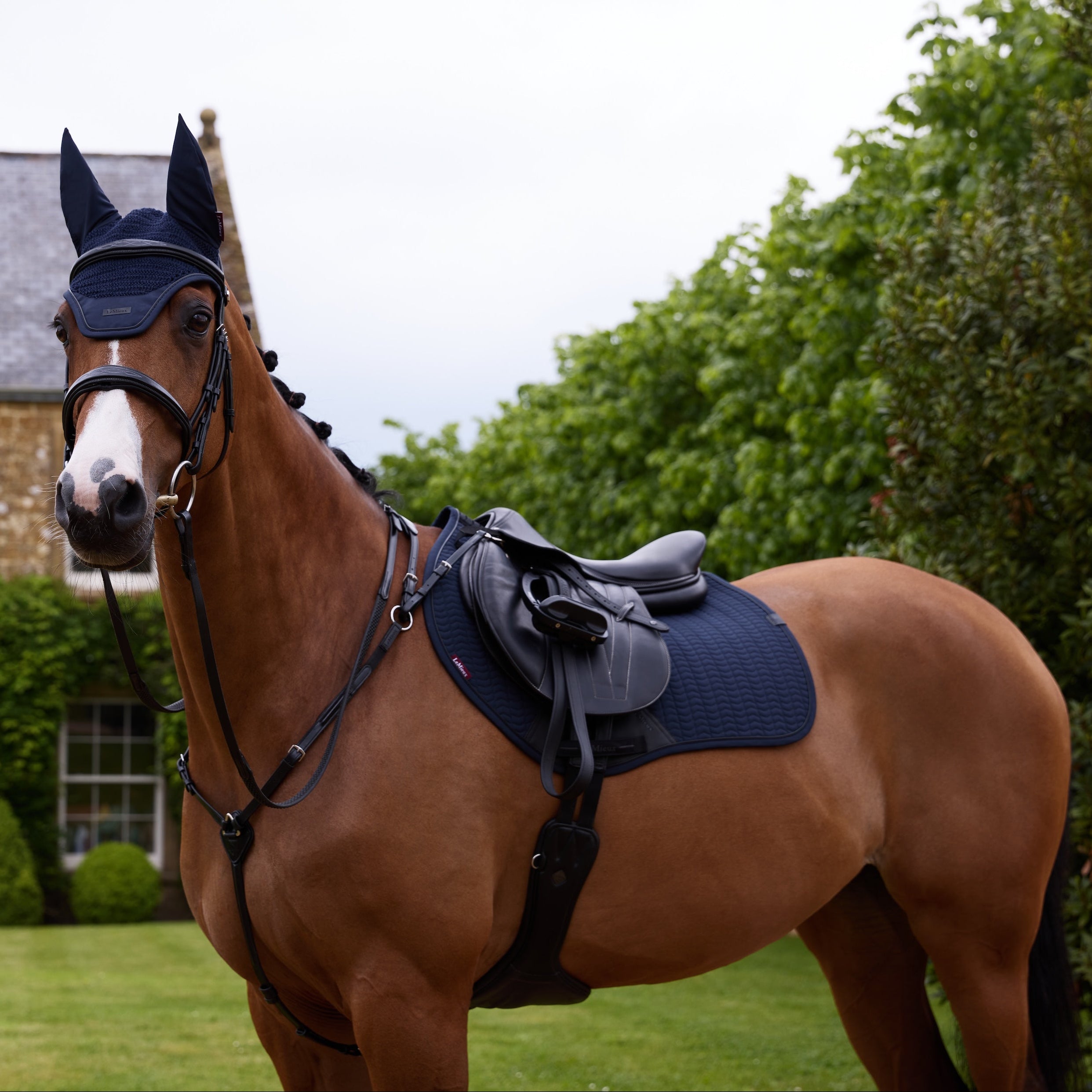 Ein braunes Springpferd im kompletten LeMieux Essence Look in Navy: Die Eurojump Springschabracke kombiniert mit der passenden Fliegenmütze, einem Stollenschutzgurt, Vorderzeug und der edlen Huntertrense. Das perfekt abgestimmte Set in Dunkelblau zeigt die volle Einsatzbereitschaft für das anspruchsvolle Springtraining im Parcours.