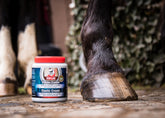 leovet Huflab Elastic Creme fördert die Elastizität und Stabilität
