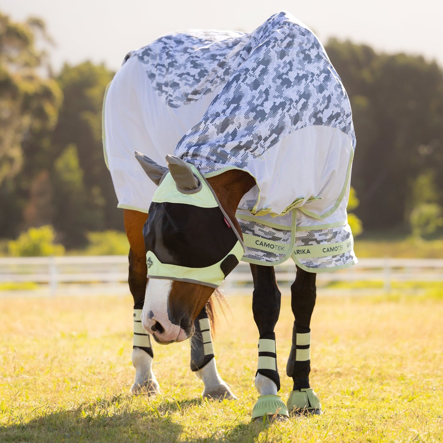In der Frontalansicht steht das Pferd mit gesenktem Kopf auf der Weide, wodurch die durchgehende Oberlinie der LeMieux Fliegendecke im markanten Camouflage-Style als optischer Blickfang und entscheidendes Merkmal zur Insektenverwirrung perfekt zur Geltung kommt.