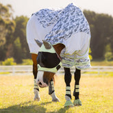 In der Frontalansicht steht das Pferd mit gesenktem Kopf auf der Weide, wodurch die durchgehende Oberlinie der LeMieux Fliegendecke im markanten Camouflage-Style als optischer Blickfang und entscheidendes Merkmal zur Insektenverwirrung perfekt zur Geltung kommt.