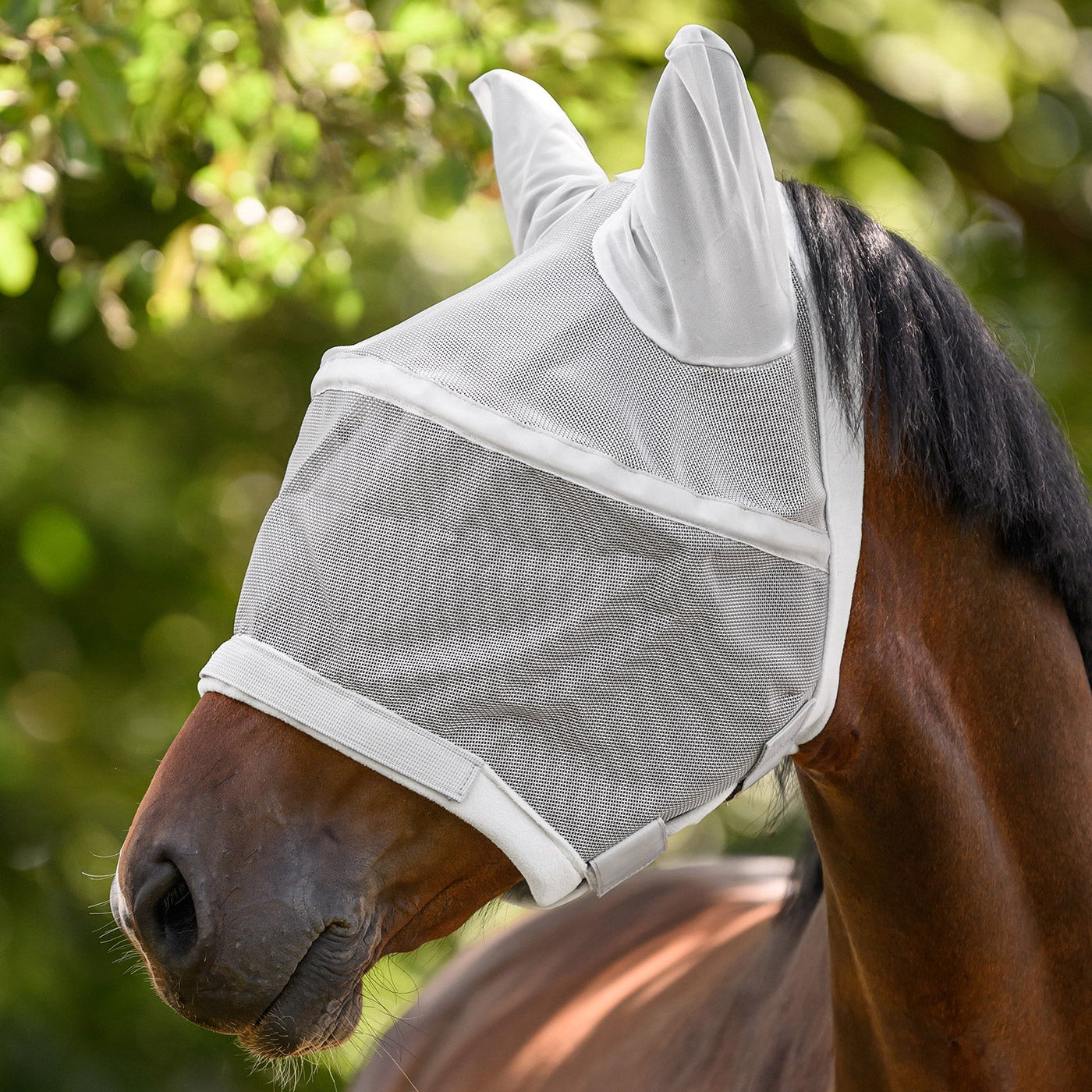 Ein Pferd trägt auf der Weide die Waldhausen Fliegenmaske Premium Space ohne Nasenschutz. Bei dieser dritten Tragevariante der 3-in-1 Maske sind Augen und Ohren durch das leichte, luftdurchlässige Meshgewebe mechanisch geschützt. Elastische Einsätze und stabile Klettverschlüsse halten die Fliegenschutzmaske sicher in Position. Diese perfekte Anpassung an den Sommer ist ideal für Ekzemer, empfindliche Pferde und Tiere, die panisch auf stechende Insekten reagieren.