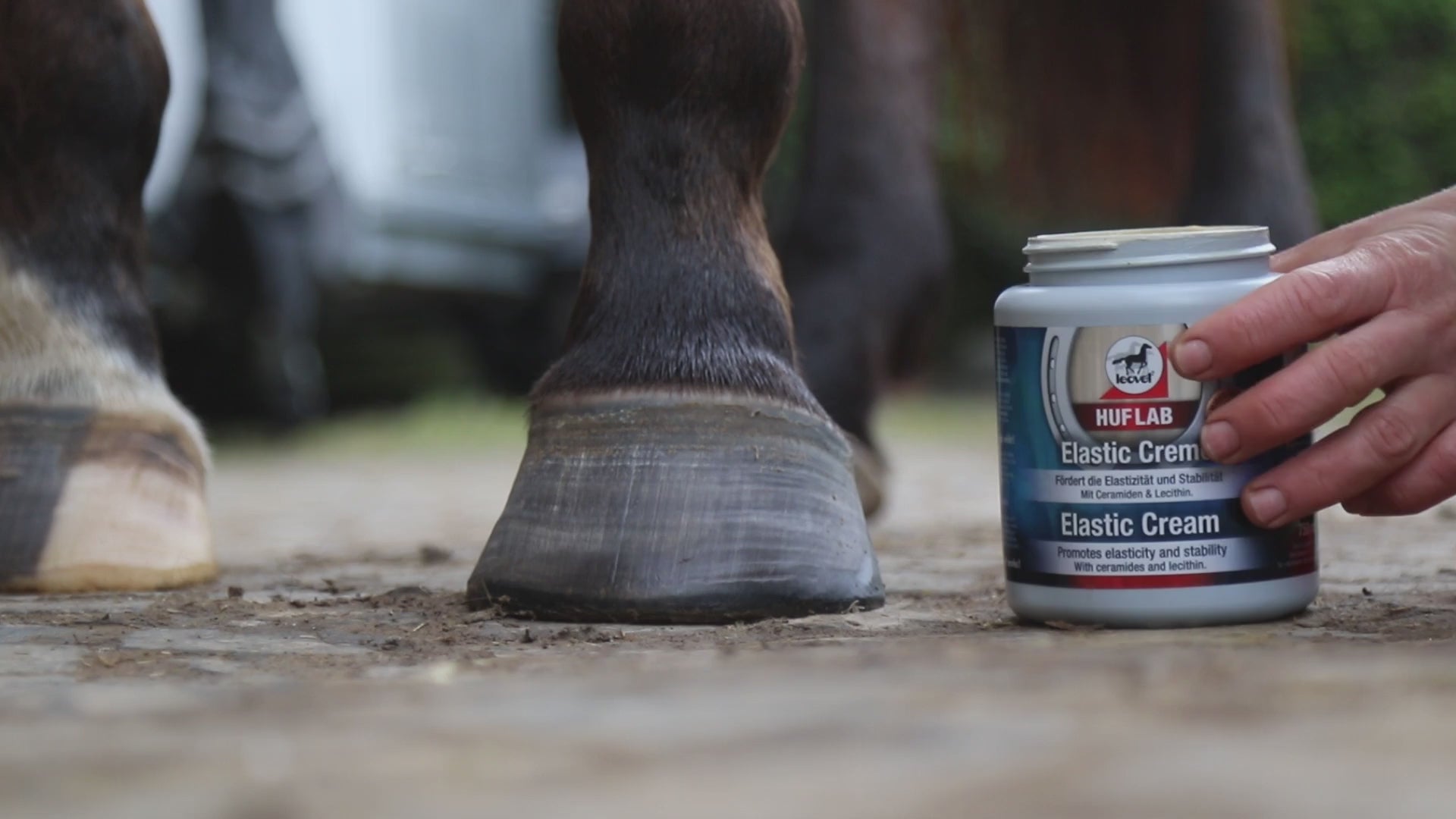 leovet Huflab Elastic Cream promotes elasticity and stability
