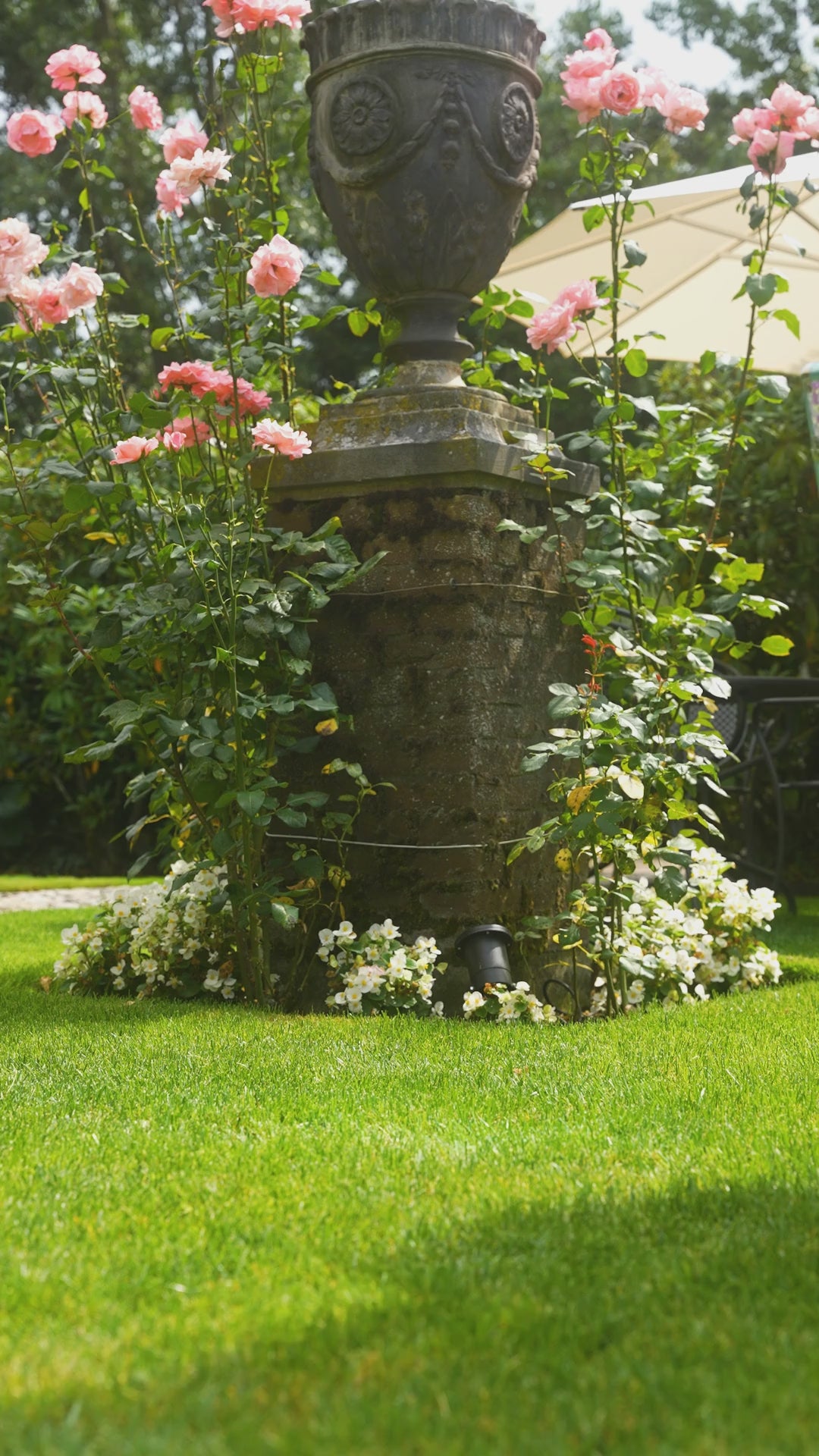 Imperial Riding Putzbox IRHBasic Slim Line mermaid