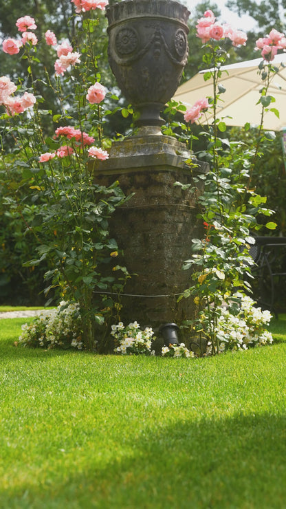 Imperial Riding Putzbox IRHBasic Slim Line mermaid