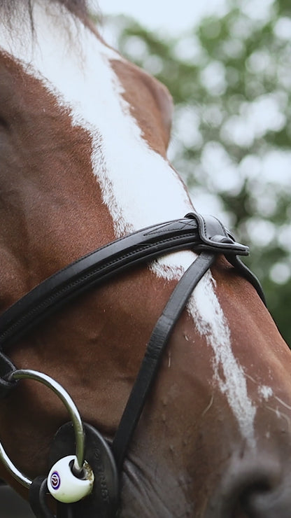 Das Video zeigt die Trust Trense Geneva am Pferd, in der Sattelkammer und ihre Attribute. Dazu gehören der abnehmbare Sperrriemen, das pferdefreundliche besondere Genickstück, das hochwertige schwarze Leder und das dezente, zeitlose Design.