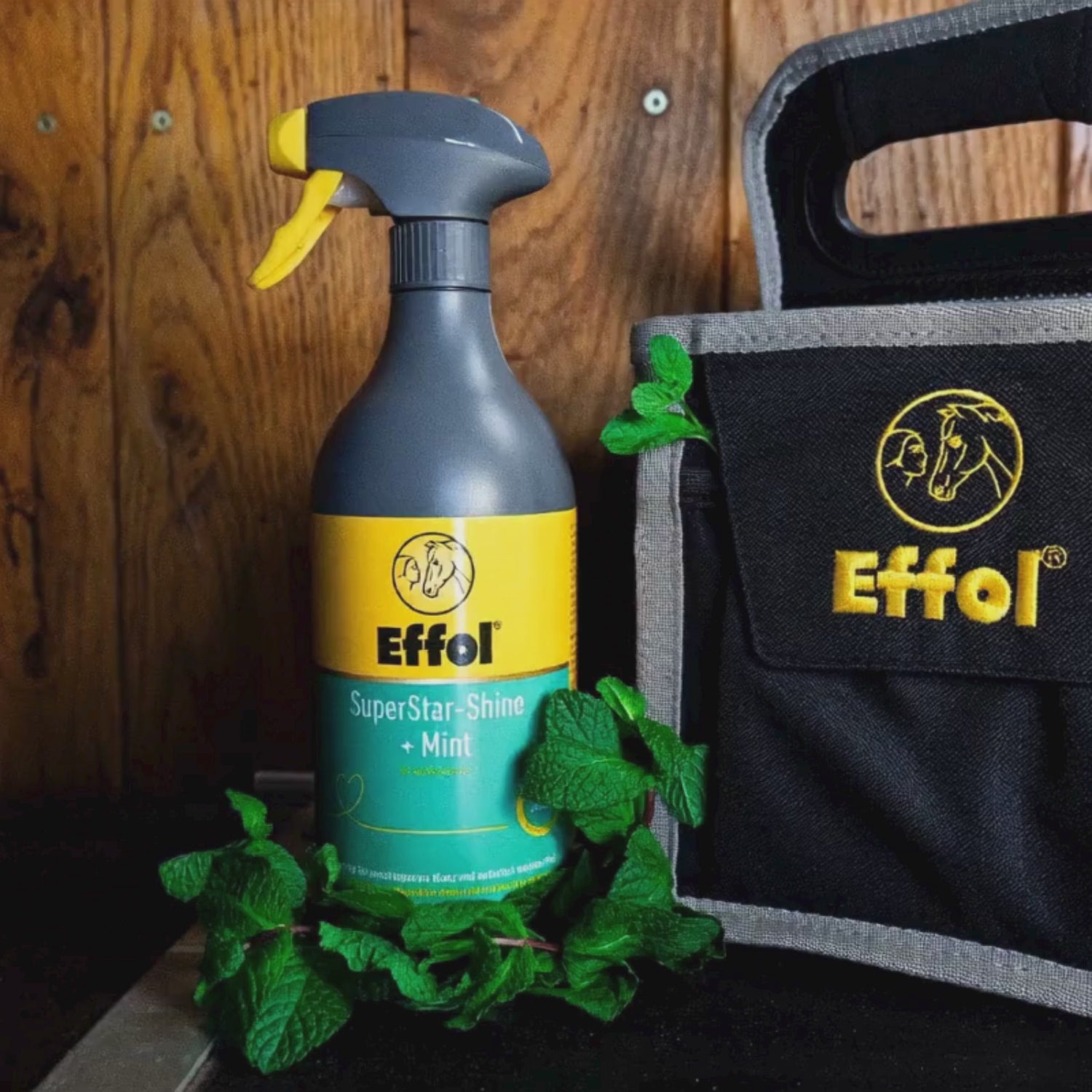 Ein ruhiger Kameraschwenk fokussiert das Effol SuperStar-Shine Mint Glanzspray, das stilvoll neben der Effol Mini Tote Bag Putztasche platziert ist. Die Dekoration mit frischen Minzblättern visualisiert den Ursprung des einzigartigen Duftes dieses Mähnen- und Schweifsprays, welches für spürbare Freude an der Pferdepflege sorgt. Das Video unterstreicht die Qualität des Sprays für sofort knotenfreies Langhaar und ein langanhaltend glänzendes Fell bei Ponys und Pferden.
