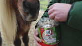 Verfütterung der Leckerlis Leoveties Minze & Mango aus dem geöffneten Eimer per Hand an Ponys und Pferde. Pferdenasen riechen die Leckerlis von leovet und kommen nah an die Person heran um Leoveties Leckerlies zu bekommen. Es sind nur die Pferdenasen und die Hände der Person zu erkenen , sowie die Dose der Leoveties. Die Leckerchen werden von der flachen Hand verfüttert und die Pferde fressen diese sofort. Die Pferde sind schwarz und braun. Die Person hat eine grüne Jacke an. Im Hintergrund sieht man Weide.