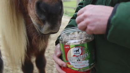 Verfütterung der Leckerlis Leoveties Minze &amp; Mango aus dem geöffneten Eimer per Hand an Ponys und Pferde. Pferdenasen riechen die Leckerlis von leovet und kommen nah an die Person heran um Leoveties Leckerlies zu bekommen. Es sind nur die Pferdenasen und die Hände der Person zu erkenen , sowie die Dose der Leoveties. Die Leckerchen werden von der flachen Hand verfüttert und die Pferde fressen diese sofort. Die Pferde sind schwarz und braun. Die Person hat eine grüne Jacke an. Im Hintergrund sieht man Weide.
