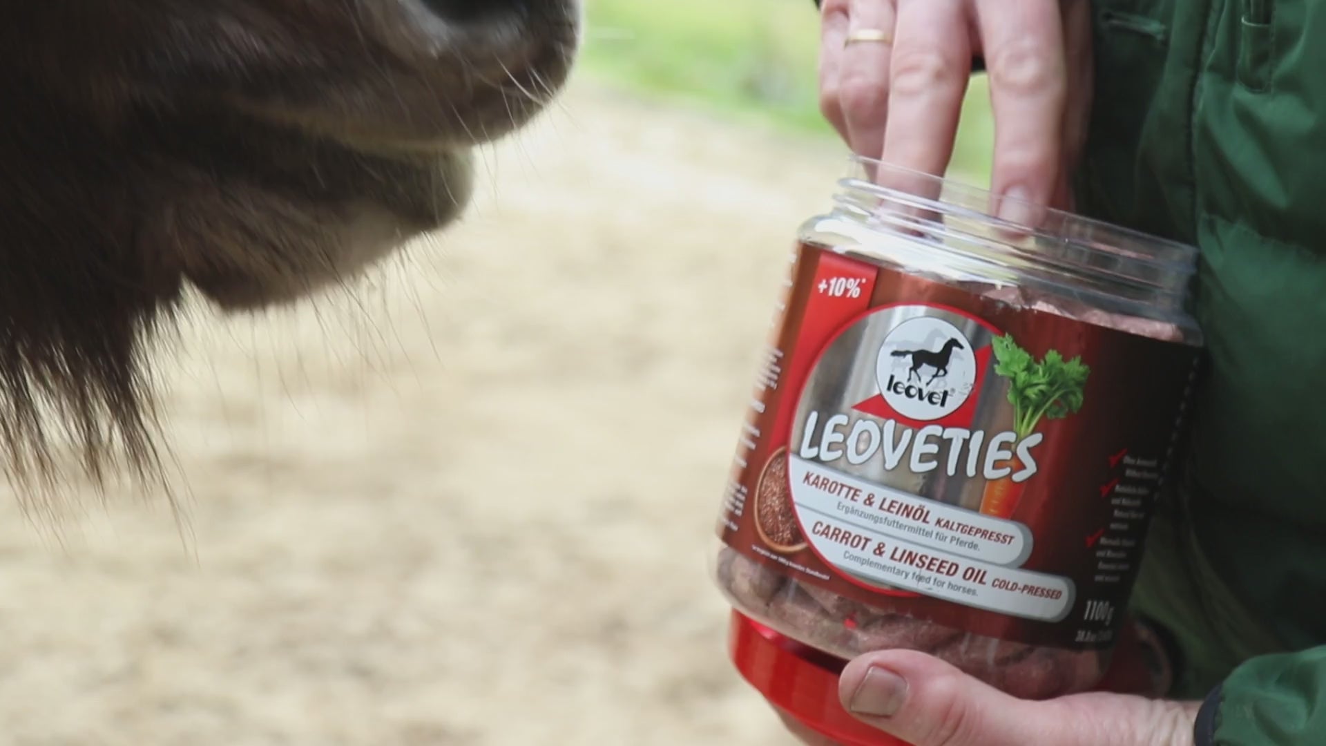 Ein emotionales Video zeigt die artgerechte Belohnung von zwei Pferden auf der Weide, die leovet Leoveties Karotte und Leinöl Leckerlis direkt aus der flachen Hand fressen. Die Szene verdeutlicht die hohe Akzeptanz und Beliebtheit der Belohnung sowie die tiefe Pferdeliebe im Stallalltag zwischen Reiter und seinem geliebten Pferd.