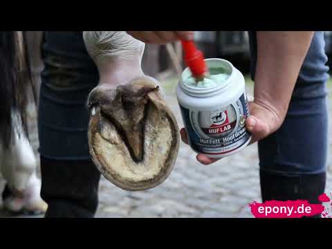 leovet Huflab Hoof Grease with Laurel and Eucalyptus