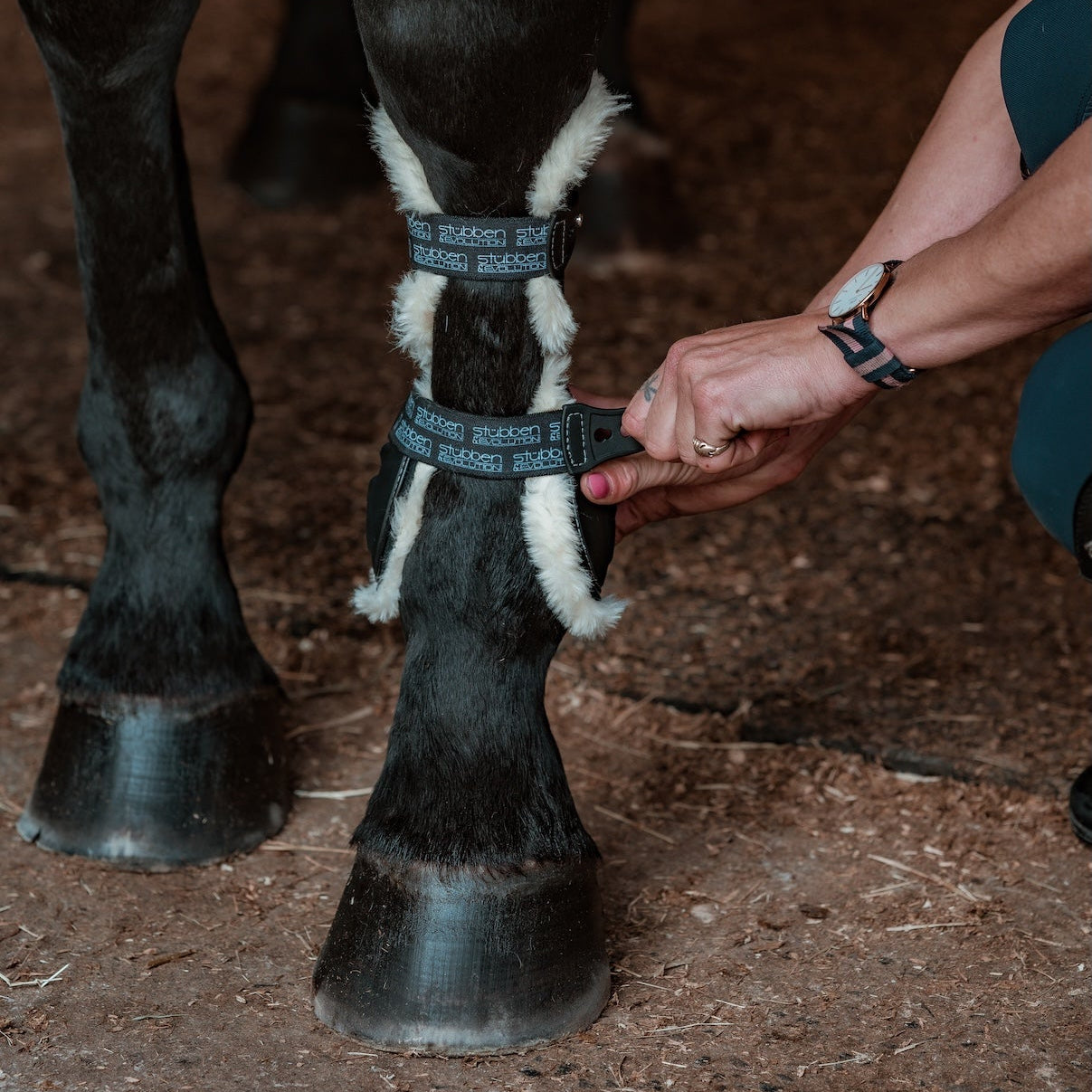 Reiterin bereitet ihr Pferd mit den schwarzen Stübben Hybrid Gamaschen auf das Training vor: Die innovativen Springgamaschen mit Fleece-Rand bieten optimalen Schlagschutz für Sehnen und Fesselkopf der Vorderbeine. Die elastischen Schnellverschlüsse garantieren einen perfekten Sitz auf den Pferdebeinen, während das Evolution-Design biomechanische Bewegungsfreiheit und maximale Druckentlastung im Springsport sichert.