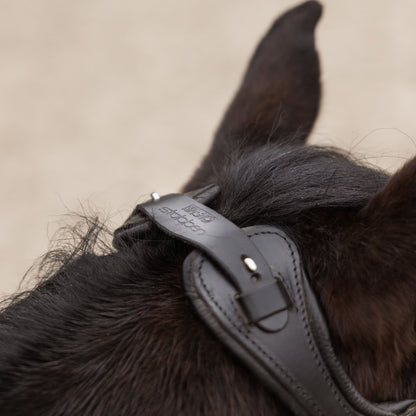 Detailbild der Stübben Trense Freedom II mit Crystal-Stirnband in Schwarz am Pferd mit Fokus auf das anatomische Genickstück, das deutlich weiter hinter den Ohren sitzt als übliche Genickstücke. Die Aussparung über dem ersten Halswirbel (Atlas) und den Ohrmuskeln sichert eine Druckentlastung am Atlas und ein freies Ohrenspiel. Eine Lederbrücke mit Zaumhaken und Stübben-Logo verbindet die beiden breiten Auflageflächen des Genickstücks, das auch seitlich im Bereich der Ohren weich gepolstert ist.