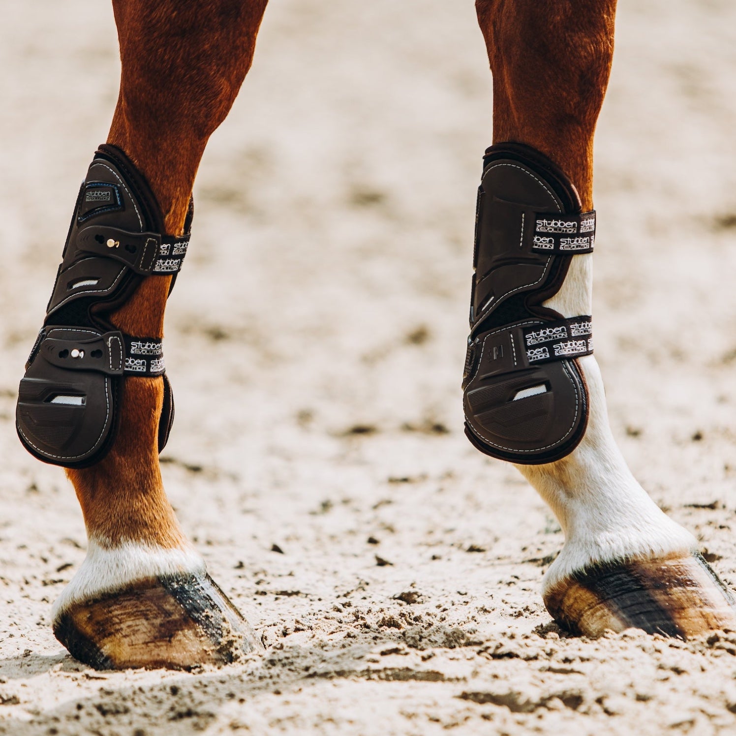 Auf einem Reitplatz steht ein Pferd mit den braunen Stübben Hybrid Springgamaschen in der Farbe Ebony, wobei der innovative Cut-Out Materialrückschnitt für maximale Flexion, die elastischen Verschlüsse und die edlen Kontrastnähte in weiß rähmen die Gamaschen farblich ein. 