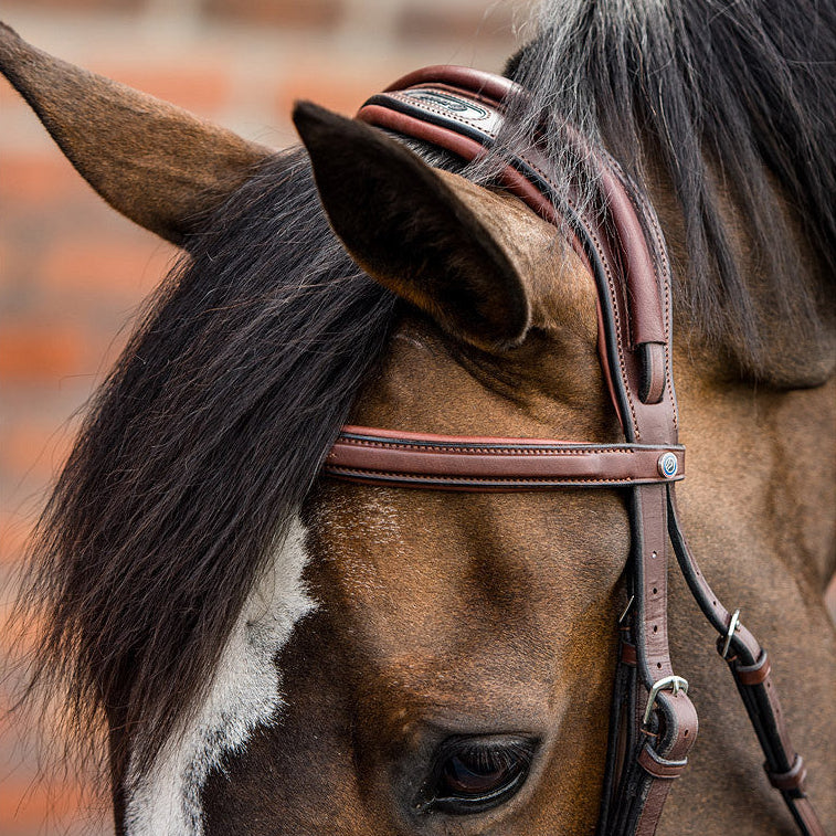 Detailaufnahme des besonderen anatomischen Genickstücks der Trust Equestrian Geneva Trense in Braun: Sichtbare Druckentlastung durch die großzügige Ohrenfreiheit und das weiche Polster nach dem Prinzip Höhe trägt.