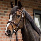 Trust Equestrian Trense Geneva in Braun mit silbenen Beschlägen am Pferd: Detailansicht des englisch kombinierten Reithalfters mit  abnehmbaren Sperrriemen und anatomischem Genickstück für eine gute Druckerteilung.