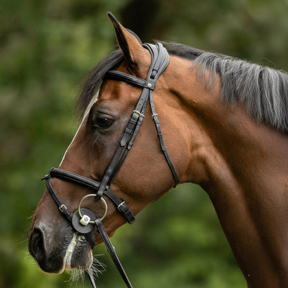 Seitenansicht der Trust Equestrian Geneva Trense am Pferd mit Fokus auf das anatomisch gepolsterte Genickstück nach dem Prinzip Höhe trägt zur optimalen Druckverteilung. Der Reithalftertrageriemen wird durch das Genickstück geführt und im höchsten Punkt über das Genickstück durch eine Ledereinfassung. Ein 10 mm dickes Genickpolster sorgt für Komfort.
