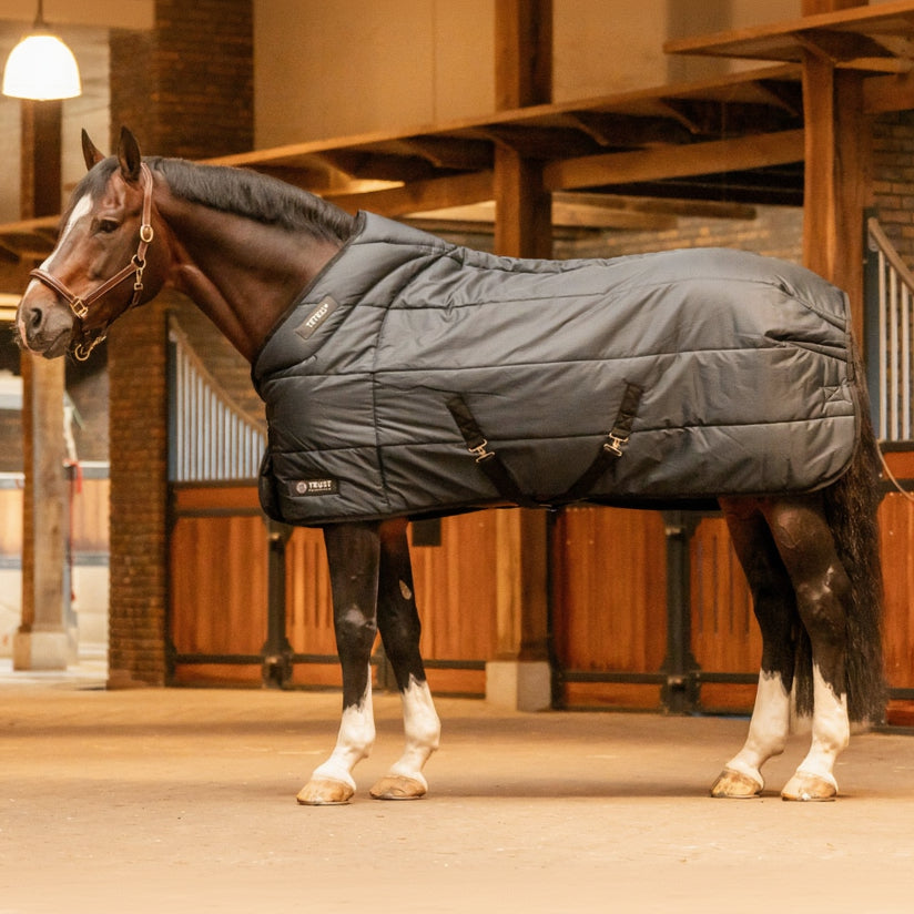 Die Trust Equestrian Stalldecke Tetris 200g in Navy zeigt im Detail das innovative Tetris-Polstersystem, das durch strategisch platzierte Blöcke einen schützenden Tunnel über dem Widerrist bildet, um empfindliche Pferde nachts in der Box beim Liegen und beim Heufressen vom Boden vor  Druck, Reibung und Haarbruch zu schützen.