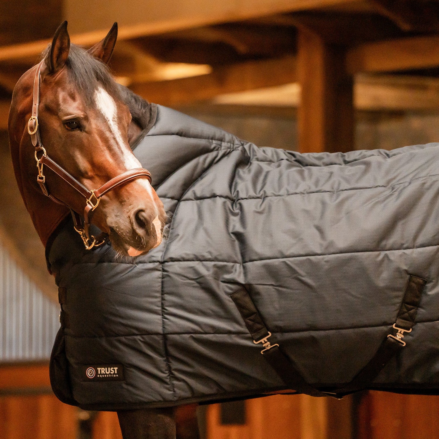 Die Trust Stalldecke Tetris gehört mit 200 Gramm zu den wärmeren Pferdedecken, die rund um die Uhr am Pferd liegen. Trotz der Polsterblöcke des Tetris-Systems und der 200 Gramm Polyfill-Füllung hat die Boxendecke eine gute Passform, die zu vielen Pferdetypen passt.