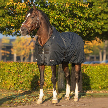 Die Detailaufnahme der Vorderansicht verdeutlicht die robusten T-Brustverschlüsse sowie die leicht erhöhten, weichen Blockpolster des Tetris-Systems, welche einen Schutztunnel bilden, um Reibung, Haarbruch und Druckstellen am Widerrist durch eine ideale Kräfteverteilung effektiv zu verhindern.