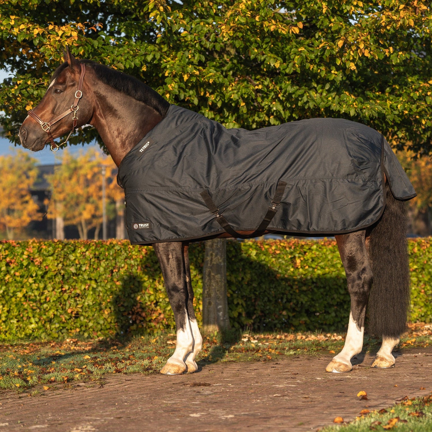 In der Seitenansicht zeigt die Trust Tetris Outdoordecke ihre ergonomische Passform am Pferd, wobei die stabilisierenden gekreuzten Bauchgurte, der großzügige Schweiflatz und der pferdefreundliche High-Neck-Schnitt das innovative Tetris-System im Widerristbereich ideal ergänzen.