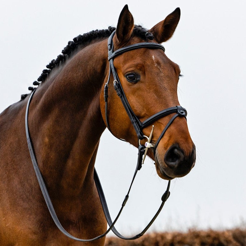 Die Trust Equestrian Trense schmiegt sich um den Pferdekopf. Die Zügel hängel locker um den Pferdehals. Die Trense Geneva wird hier mit Sperrriemen verwendet, der aber auch entfernt werden kann. Eine Trust Inno Sense Schenkeltrense liegt im Pferdemaul. Pferdefreundlich für Sportpferde, Turnierpferde und Freizeitpferde.