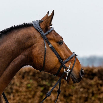 Pferd trägt schwarzen Trensenzaum Geneva von Trust Equestrian mit Trust-Schenkeltrense und passenden Zügeln. Pferd zieht entspannt und zufrieden aus.