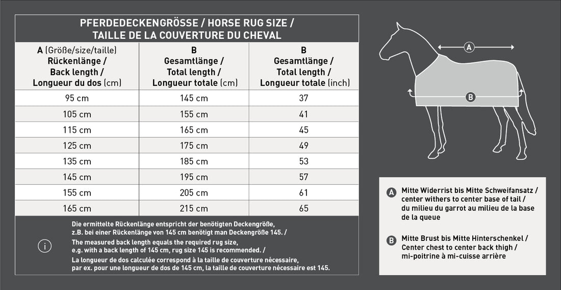 Größentabelle für Waldhausen Arctic Outdoordecken zur Ermittlung der optimalen Deckengröße für Pony und Pferd. Zeigt die genauen Abmessungen und Messanleitungen für die Rückenlänge (Widerrist bis Schweifrübe) und Gesamtlänge (Brust bis Schweif). Verfügbar in allen gängigen Pferdedeckengrößen von 115 cm, 125 cm, 135 cm, 145 cm, 155 cm bis 165 cm.