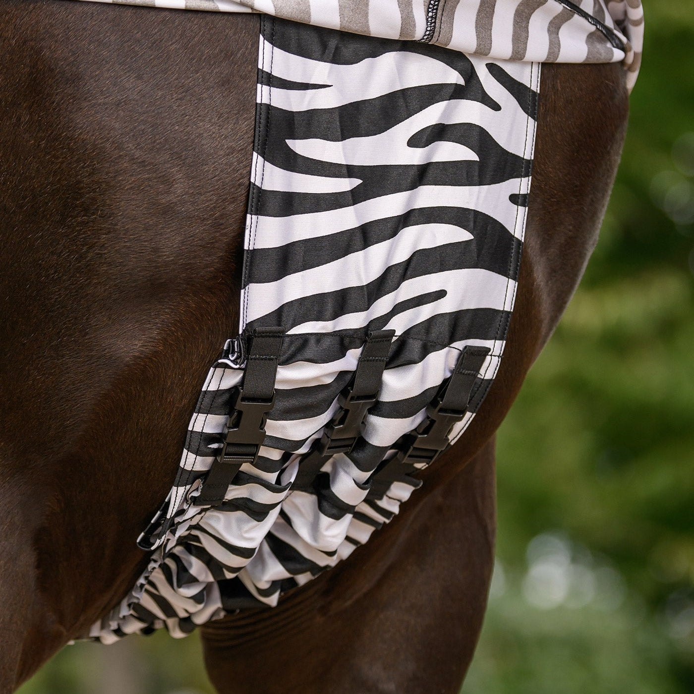 Detailbild der hochgezogenen Waldhausen Ekzemerdecke Zebra Premium im Brustbereich mit Blick auf die Längsfixierung der Bauchnahtabdeckung. Zwischen den Vorderbeinen wird die Decke sicher mit 3 Klickverschlüssen fixiert, sodass die empfindliche Bauchnaht fast komplett bedeckt ist und Kriebelmücken kaum noch Landemöglichkeiten bietet. Dank dieser optimalen Anpassungsmöglichkeiten entsteht ein umfangreicher mechanischer Fliegenschutz für Ponys und Pferde.