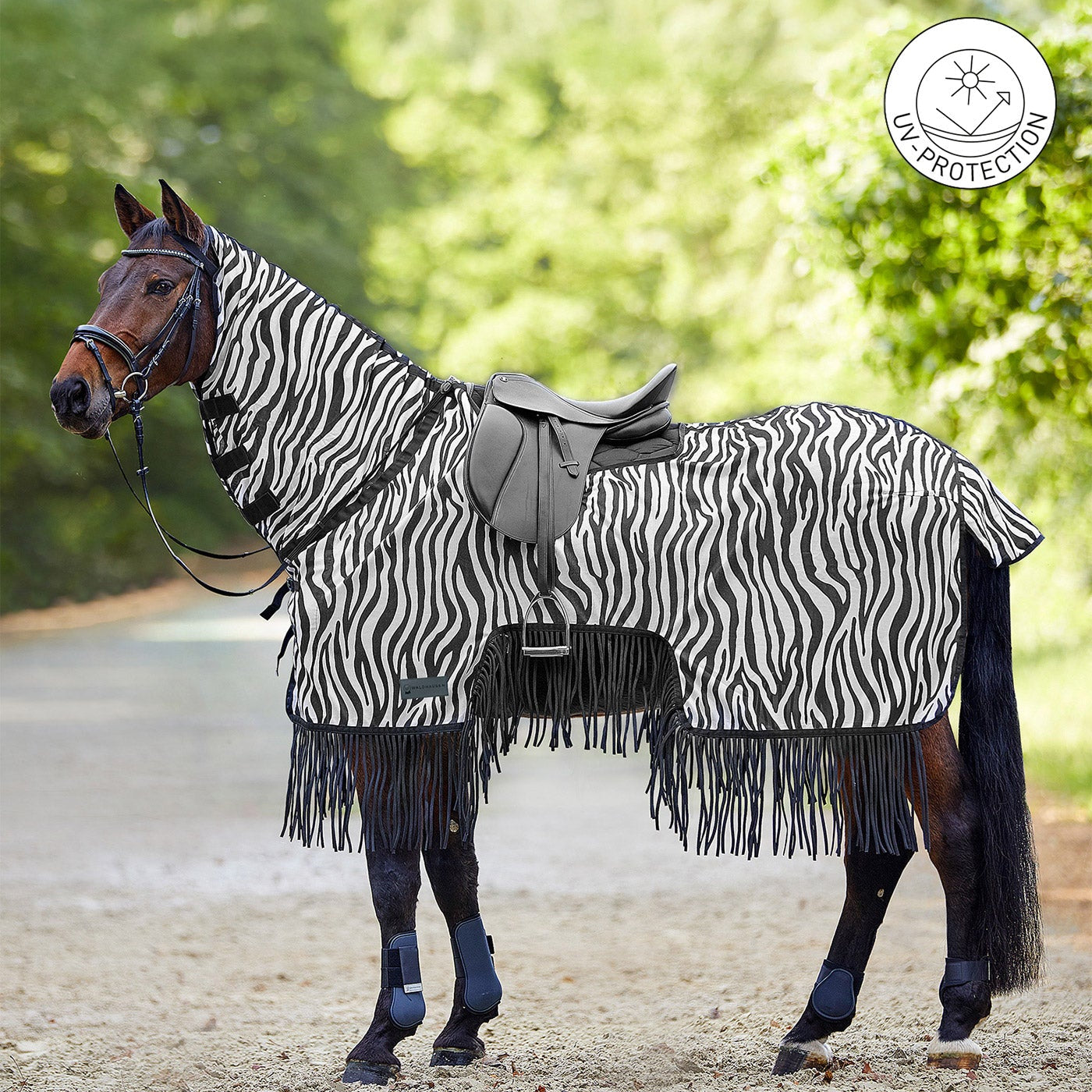 Waldhausen Fliegen-Ausreitdecke Zebra mit Fransen und eingeblendetem UV-Protection-Button am gesattelten Pferd im Gelände. Gut erkennbar ist der Materialrückschnitt im Bereich der Sattel- und Schenkellage für engen Kontakt vom Reiterbein und eine gefühlvolle Hilfengebung. Das feste Halsteil deckt den Mähnenkamm ab, während der Schweiflatz Schweifrübe und Schweifansatz schützt. Diese Reitdecke vereint optische und mechanische Fliegenabwehr für entspannte Sommer-Ritte mit dem Pferd.