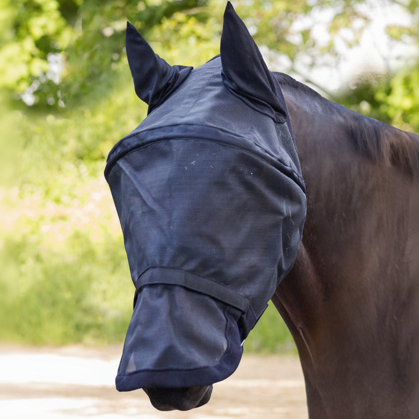 Ein dunkles Pferd trägt die schwarze Waldhausen Fliegenmaske Premium Space. Ein formstabiler Bügel garantiert absolute Augenfreiheit. Das atmungsaktive Mesh schützt Ohren und Gesicht vor Insekten, während der 3-in-1 Nasenschutz mit wählbarem Netz oder Fliegenfransen maximale Flexibilität auf der Weide bietet.