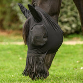 Waldhausen Fliegenmaske Puck mit Nasenfransen auf einem Pferd mit geneigtem Kopf beim Grasen auf der Sommerweide. Die elastische, leichte Fliegenschutzmaske gewährt volle Bewegungsfreiheit für Pony und Pferd. Die langen Nasenfransen hängen über das Pferdemaul, ohne beim Fressen oder Trinken an der Tränke zu stören. Durch den klassischen Schopfdurchlass zwischen den Ohren wird der Pferdeschopf nach außen gezogen, sodass das Langhaar auf dem Bild locker herabhängt und sich nicht unter der Maske staut.