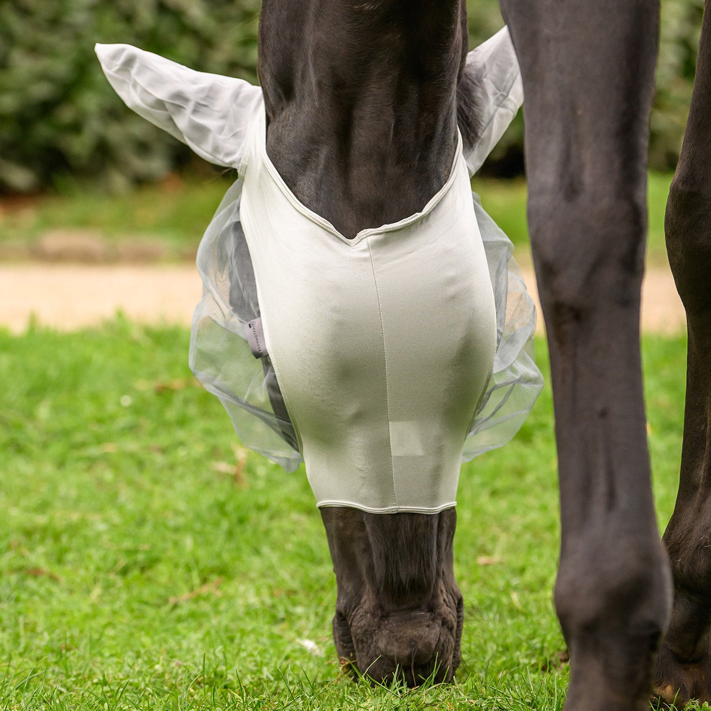 Grasendes Pferd mit gesenktem Kopf und der hellgrauen Waldhausen Fliegenmaske Skinny. Sichtbar ist der Bereich von Ganaschen und Kehle, der komplett ohne Klettverschluss oder Reißverschluss auskommt. Das elastische Material sorgt für eine stabile Passform am Pferdekopf. Verfügbar in den Größen Shetty, Pony, Vollblut, Warmblut und Warmblut Extra (Kaltblut) bei ePony Reitsport.